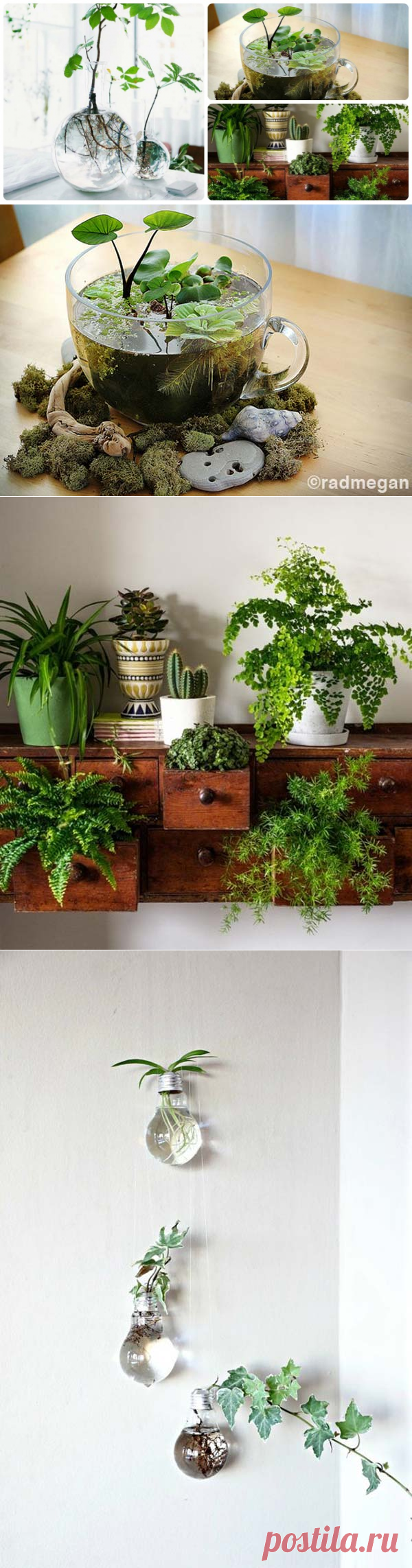 Вот так сиюминутные "изделия" выдают за декор интерьера ))) 
Build Your Indoor Mini Garden: Look at These 10 Smart Ideas! | Site For Everything