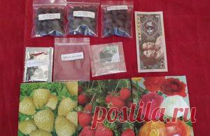 Семена с Алиэкспресс — отзывы покупателей о качестве товара