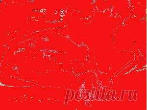 Открытки с цветами | Иллюстрации цветов