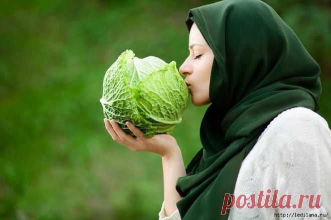 Маринованная капуста на зиму