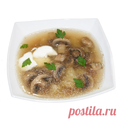 Грибной бульон