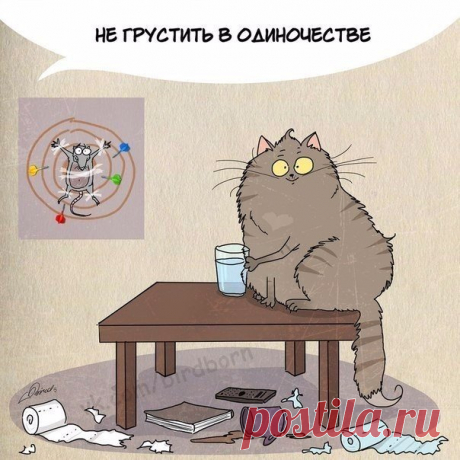 Чему поучиться у котов?