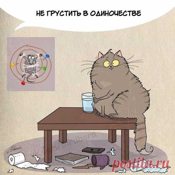 Чему поучиться у котов?