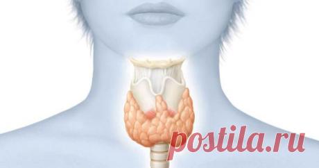 Новости - МирТесен