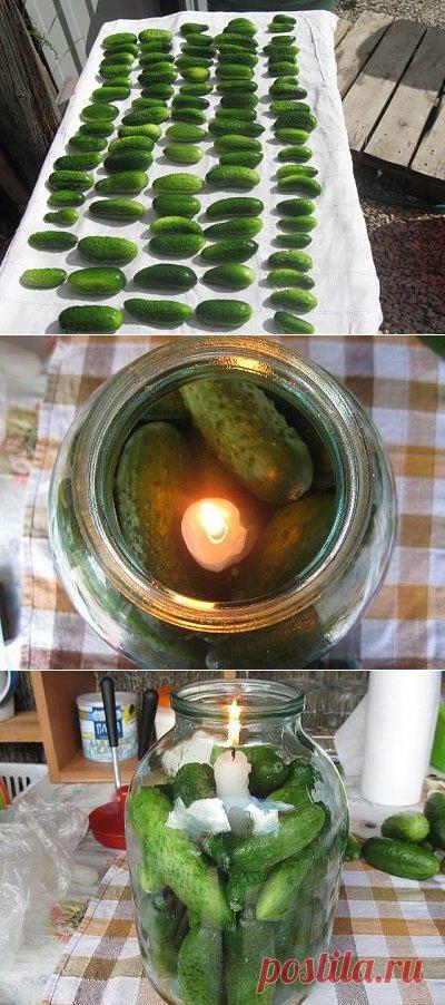 (79) Одноклассникисохранение огурцов на зиму