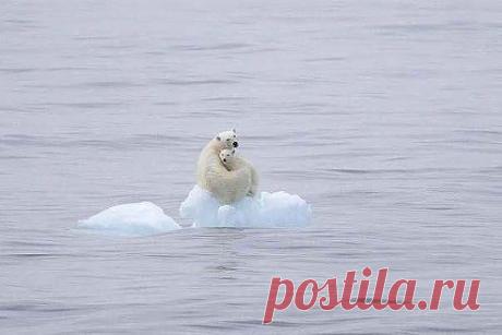 Болыше чем фото!!!если не трудно нажмите КЛАСС