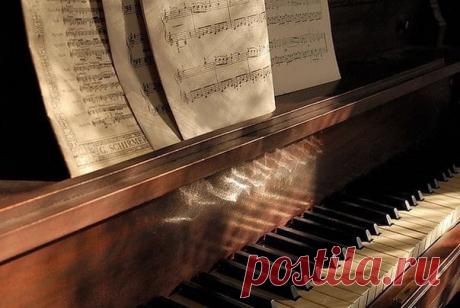 Орехово - пыльный запах старых библиотечных книг, затерянные много лет назад кусочки гербария среди пожелтевших страниц, старая деревянная шкатулка с крупными бусинами внутри, которые когда-то украшали вельветовое бабушкино платье, невероятной красоты кружева на полочках, цветные вазы со сколами на краях, искусственные тюльпаны, собранные из кусочков бархата, и большие часы из красного дерева.

Меня всегда привлекало ушедшее, имеющее свою историю и жизнь. Я нахожу вдохновл...