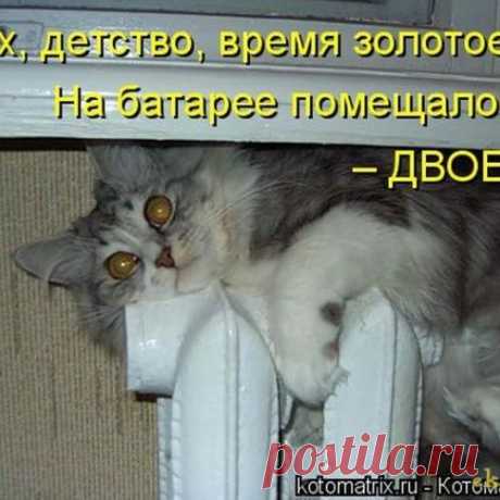 Все наоборот  (котоматрица)