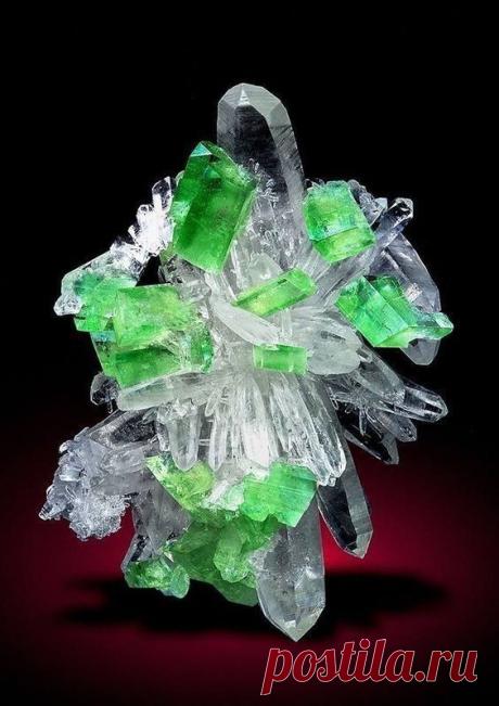 Pinterest