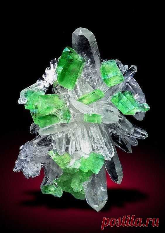 Pinterest
