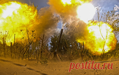 ВСУ за сутки потеряли в зоне СВО около 1 225 военнослужащих. Так, в зоне группировки "Центр" было уничтожено до 510 человек