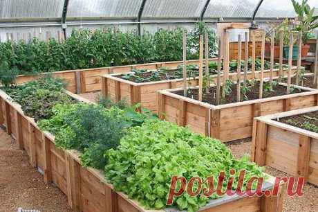 Поднятые грядки своими руками