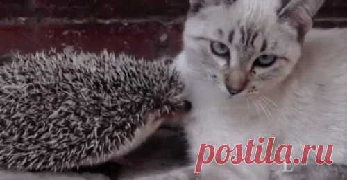 В жизни всякое бывает :) В жизни всякое бывает :)