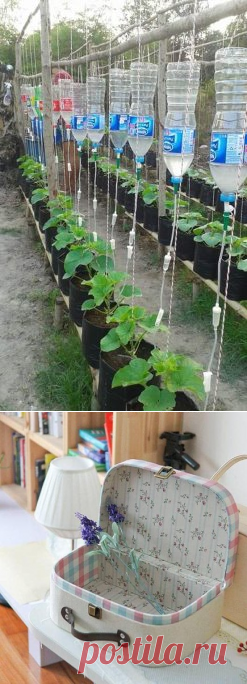 (99) Одноклассники