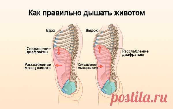 Упражнения дыхательной гимнастики помогут эффективнее худеть. | Делаем тело красивым | Яндекс Дзен