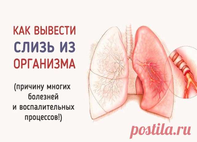 Простые способы избавления от слизи в организме. 

Самым эффективным методом, который помогает вывести данный секрет, является употребление этого простого ингредиента! 

Впервые слизь в нашем организме образуется еще в раннем детстве тогда, когда мы съедаем что-то вареное. По мере того как мы растем, слизь накапливается и заполняет все полости нашего тела. 
Показать полностью…