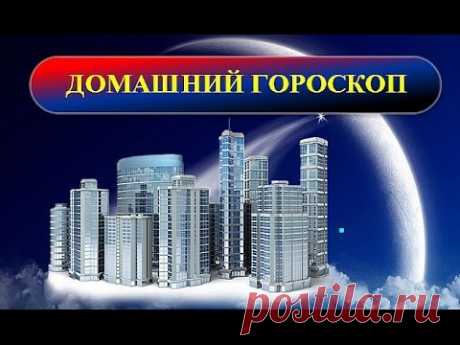 Домашний гороскоп - YouTube