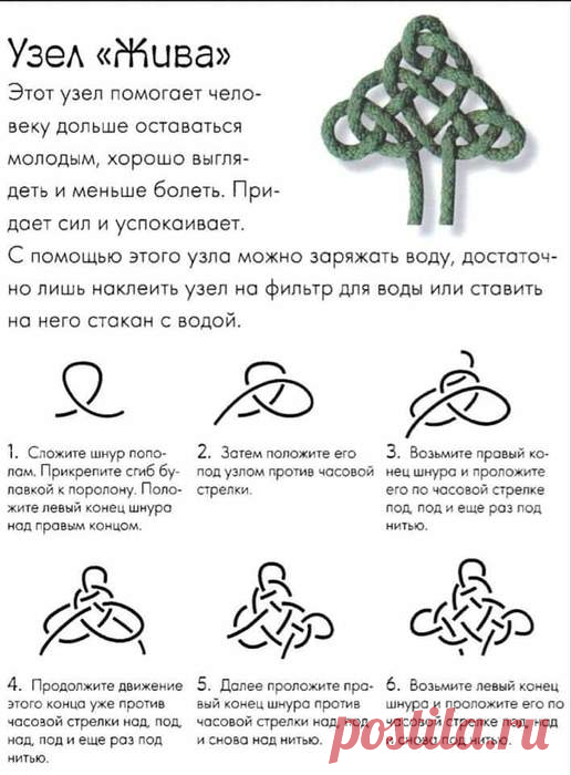 Наузы на здоровье: Науз Жива