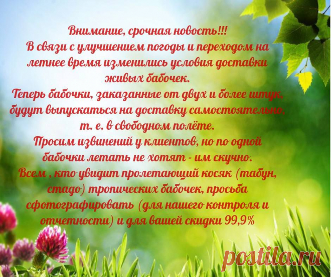 Спасибо за понимание и хорошего дня )
http://babochki.kiev.ua