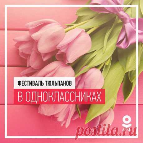 Тюльпаны не одно столетие сопровождают жизнь человека. Они прекрасны, очаровательны и загадочны. 

Согласно легендам, в бутоне жёлтого тюльпана заложено счастье. До счастья никто не мог добраться из-за того, что бутон не раскрывался. Когда маленький мальчик, гуляющий с мамой, впервые увидел прекрасный жёлтый бутон и со счастливой улыбкой побежал к нему — тюльпан раскрылся. С тех пор считается, что подаренные тюльпаны приносят счастье или, как минимум, хорошее настроение.


•••