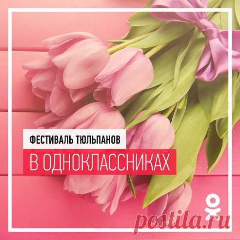 Тюльпаны не одно столетие сопровождают жизнь человека. Они прекрасны, очаровательны и загадочны. 

Согласно легендам, в бутоне жёлтого тюльпана заложено счастье. До счастья никто не мог добраться из-за того, что бутон не раскрывался. Когда маленький мальчик, гуляющий с мамой, впервые увидел прекрасный жёлтый бутон и со счастливой улыбкой побежал к нему — тюльпан раскрылся. С тех пор считается, что подаренные тюльпаны приносят счастье или, как минимум, хорошее настроение.


•••