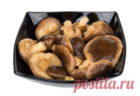 Гриб чернушка: описание, как выглядит