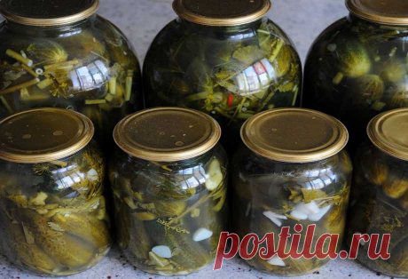 Квашеные огурцы в банках на зиму: как бочковые, под железную и капроновую крышку