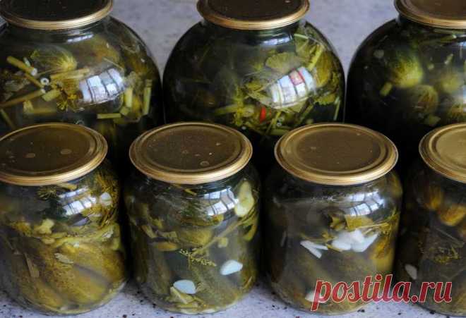 Квашеные огурцы в банках на зиму: как бочковые, под железную и капроновую крышку