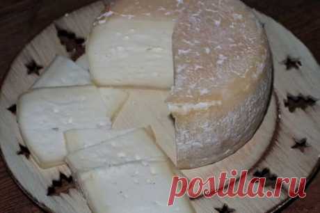 Я не смогла себя сдержать и разрезала одну головку сыра на пробу, а вкус вообще не сравнить с тем, что продается в магазинах! Настоящий вкус сыра! Такого вкусного сыра я никогда не ела! Хотя что там говорить. Дети съели его на завтрак, даже хлеб не понадобился. Все от него были в восторге.