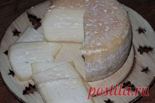 Я не смогла себя сдержать и разрезала одну головку сыра на пробу, а вкус вообще не сравнить с тем, что продается в магазинах! Настоящий вкус сыра! Такого вкусного сыра я никогда не ела! Хотя что там говорить. Дети съели его на завтрак, даже хлеб не понадобился. Все от него были в восторге.