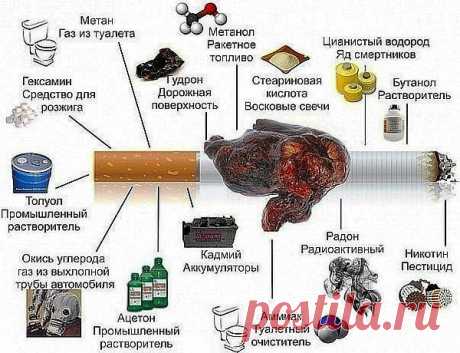 Группа: Котизм