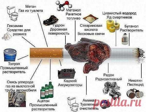 Группа: Котизм