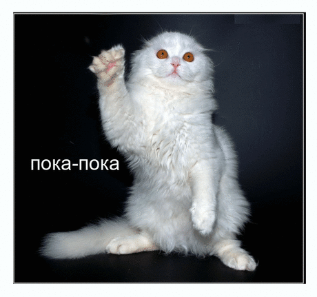 Пока - пока!