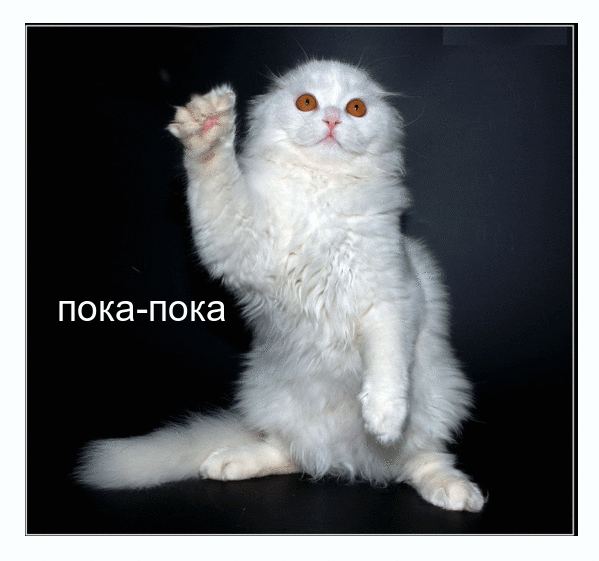 Пока - пока!