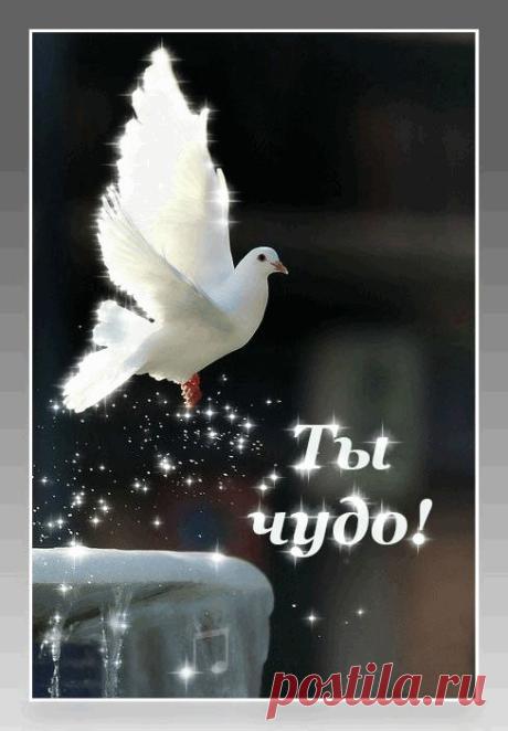 0_a0956_7d99f4ad_GIFXL (488×702)