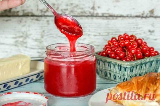 Что приготовить из смородины на зиму – простые рецепты вкусных заготовок | Статьи (Огород.ru)