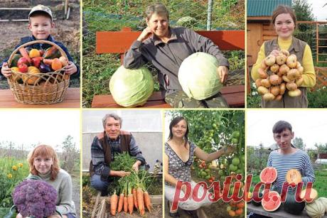 Секреты высоких урожаев — Ваше Плодородие