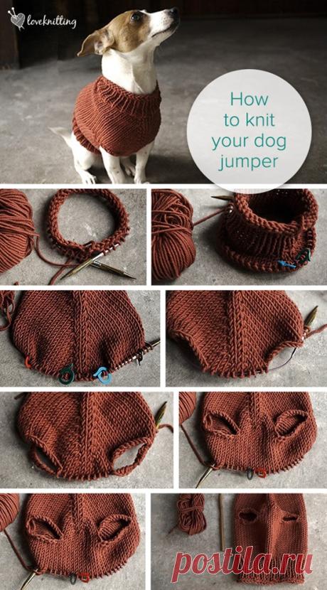 10 Easy Knitting Tutorials You Can Follow | Postris