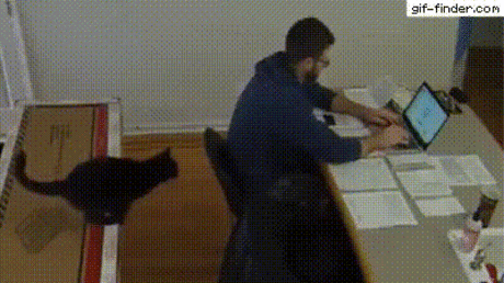 "Да плевать мне на твои отчеты"