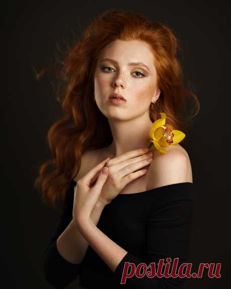 Без заголовка