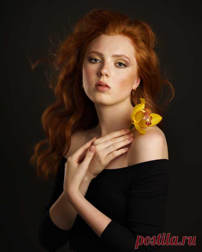 Без заголовка