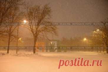 Московский парк имени 50-летия Октября ночью зимой (2016 год) Редакционное фото, фотограф Ilaronsia / Фотобанк Лори