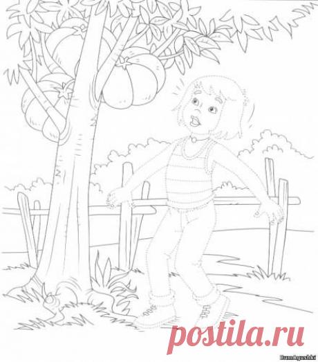 sitio25 - Соединяем по точкам - Дошкольное развитие ребенка - БумАгушки - детские раскраски и многое другое