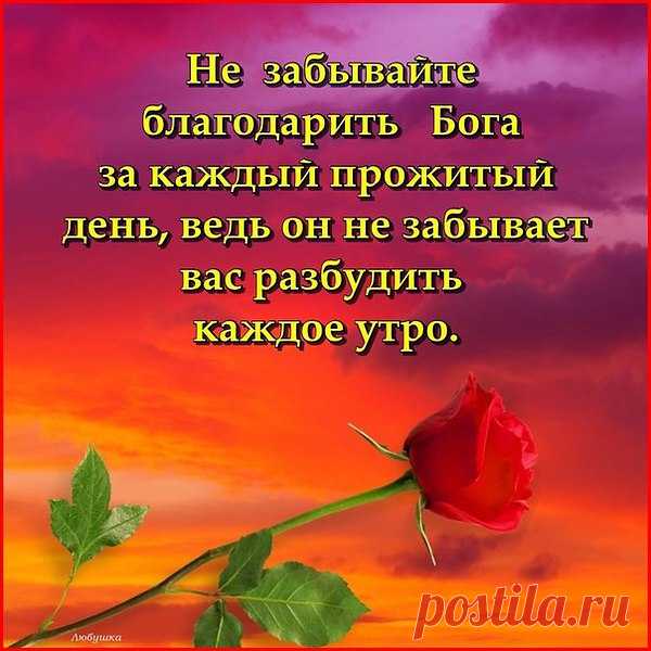 ДАЙ БОГ ДРУЗЬЯ ВАМ ДОБРОЙ НОЧИ!
АНГЕЛА-ХРАНИТЕЛЯ И ПРАВЕДНЫХ СНОВ!