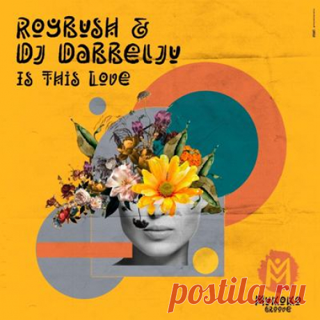 DJ Dabbelju, Roybush - Is This Love (Extended Mix)