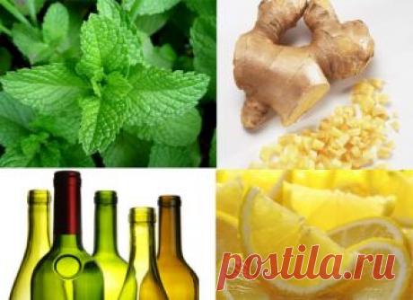 Три рецепта цитрусовых настоек