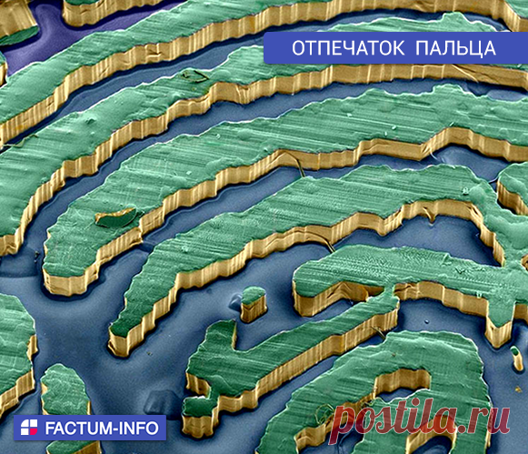 Отпечаток пальца, созданный с помощью электронного микроскопа.
⠀
Макросъёмка электронным микроскопом → https://factum-info.net/interesnoe/foto/378-makros-jomka-elektronnym-mikroskopom
⠀
#отпечаток #палец #макро #фото #макрофото #макросъемка #микроскоп #электронныймикроскоп #факты #интересныефакты #интересно #FactumInfo #картинки #саморазвитие #facts