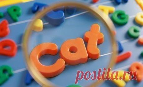 Самые употребляемые английские фразы: / Неформальный Английский