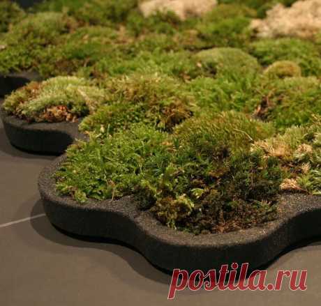 14 потрясающих дизайнерских идей для ванной комнаты