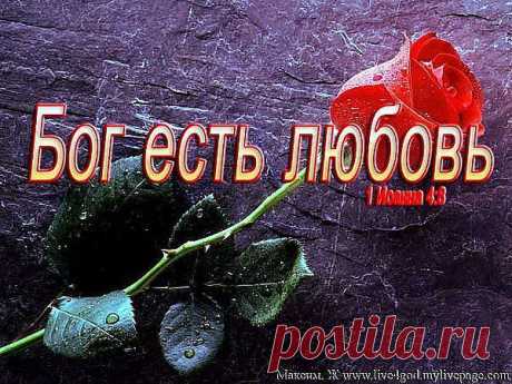 Интересные новости